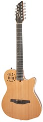 Godin A 10 Natural Steel Mahogany Cedar SG LEVNĚ