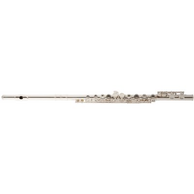 TOP 1. - Bacio Instruments BFL-100