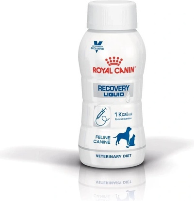 TOP 4. - Royal Canin Veterinary Diet Dog Renal Liquid 3 x 200 ml